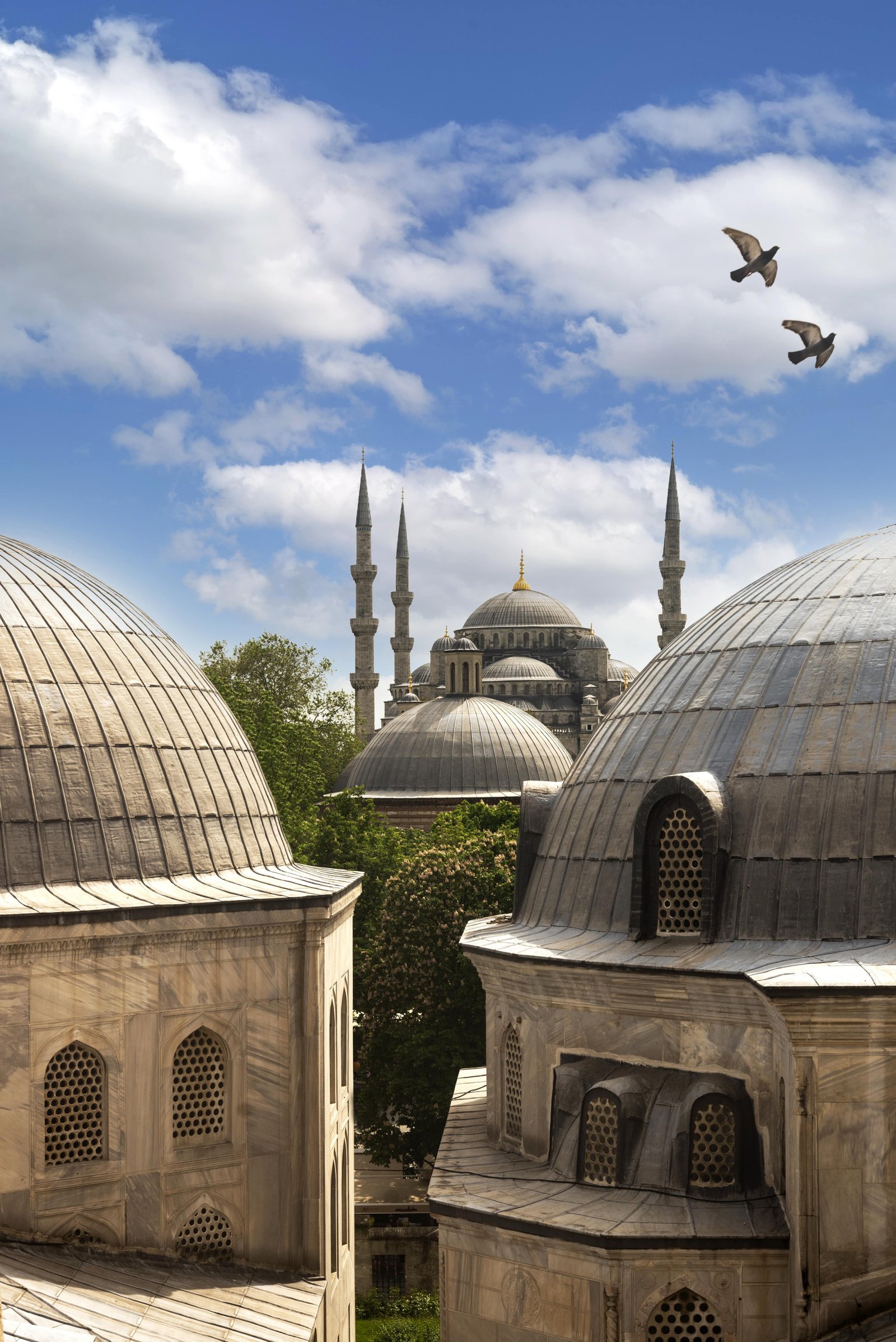 vertical-shot-lovely-istanbul-mosque-with-dome-roof-beautiful-cloudy-sky-with-birds (1)-min vertical shot lovely istanbul mosque with dome roof beautiful cloudy sky with birds 1 min scaled